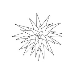 Aloe vera icons isolated on white background. Collection aloe vera green plants. Flat icons for logo, symbol, label and sticker.