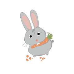Rabbit eats carrot