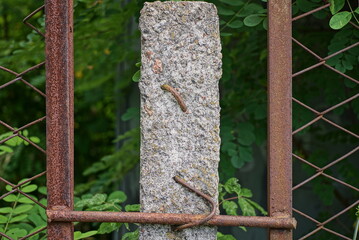 gray concrete pole on a metal mesh fence with rusty brown bars outdoors near green vegetation