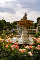 Fototapeta na wymiar Rose Garden in Madrid, Spain