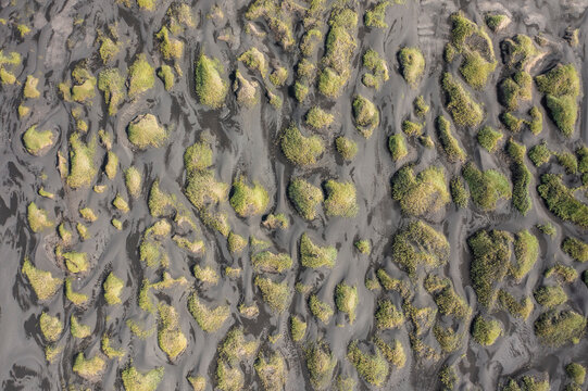Aerial view of Stokksnes abstract pattern with black sand and grass along the coast, Eastern, Iceland.
