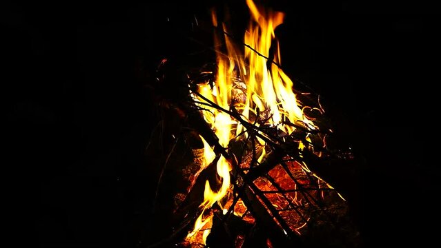 lohri fire video Hd Video