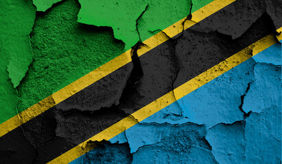 Flag of Tanzania on old grunge wall in background
