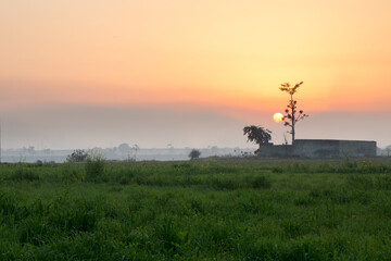 Obraz na płótnie Canvas Sunset in a field