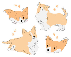 Corgi dog illustration set in hand-drawn style