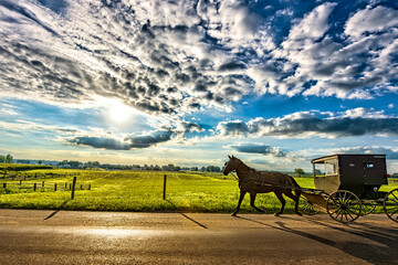 Fototapeta na wymiar Amish buggy on rural road in early morning