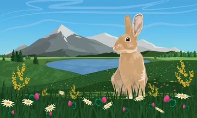 Fototapete Grün Gray European hares in a meadow with spruce, bushes and grass. River bank with grass, trees and bushes. Sunset or sunrise in summer. rabbit Wildlife. Realistic vector landscape