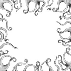 Square frame with wriggling gray octopus tentacles on white background. Painted by hand in watercolor