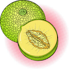 Half and whole melon illustration. Fruit close up. Vector bright colored halftone print in Pop Art style. Retro cartoon comic style. Design for stickers, poster. Eco food