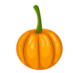 pumpkin, autumn in flat style, isolated