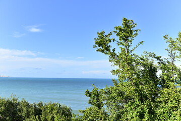 Fototapeta na wymiar view of the sea and foliage, sea ​​view