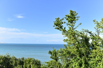 Obraz premium view of the sea and foliage, sea ​​view
