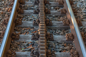 Track of a gear railway,  cogwheel railway, rack railway