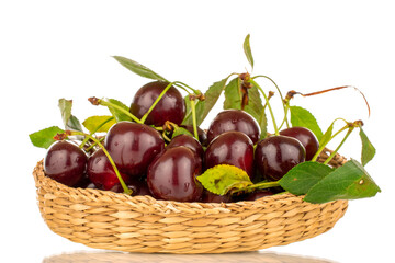 Several ripe sweet cherries on a straw plate, close-up, isolated on a white background.