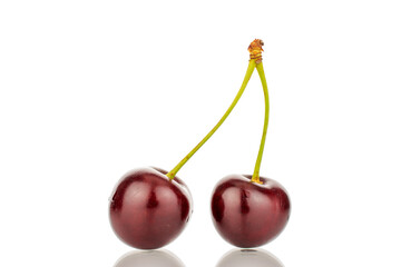 Two ripe sweet cherries, close-up, isolated on a white background.