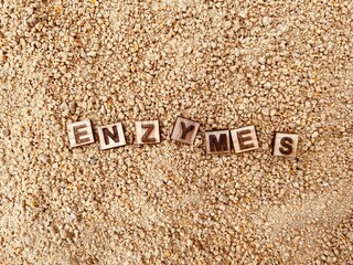 Use Enzymes in Animal Feed to improve animal performance. Image for Feed quality, animal health product promotion, brochure, PowerPoint, slide designs