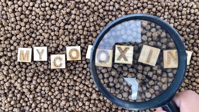 Mycotoxins in Fish and Shrimp feed. Clip for mycotoxins risk in aquatic animals, fish health issues, toxin adsorbent product promotion.