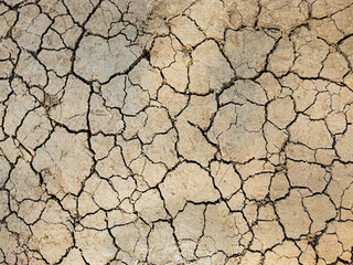 Cracked earth. Background with cracks. Large rubbish on the ground. Light brown textured cracked background