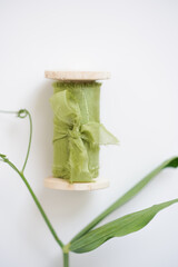 Close-up, decoration composition for the holiday. Tender green silk ribbon on a wooden roll with a fresh branch on a white background