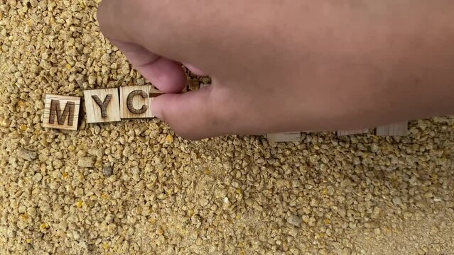 Mycotoxins in Animal feed. Clip for mycotoxins risk in animal farms, poultry-swine health issues, toxin adsorbent product promotion. 