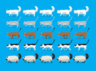 Animal Animation Sequence Cat Burman Aegean Abyssinian Burmilla American Curl Cartoon Walking