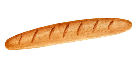 Watercolor illustration of baguette or long loaf. The hand-drawing icon of pastries or bakery products. Transparent background.