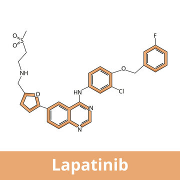 Lapatinib.	An Orally Active Drug For Breast Cancer And Other Solid Tumors. It Is Used In Combination Therapy For HER2-positive Breast Cancer.