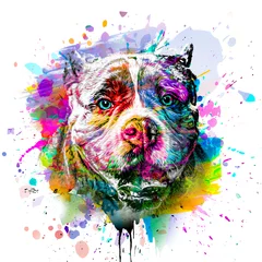 Poster abstract colored dog muzzle isolated on colorful background © reznik_val