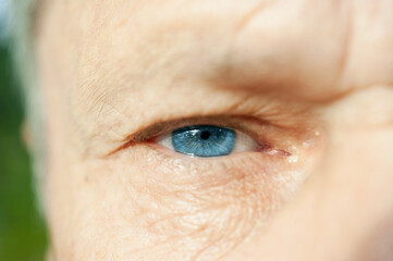 Blue-eyed senior man. Man's eye. old eye
