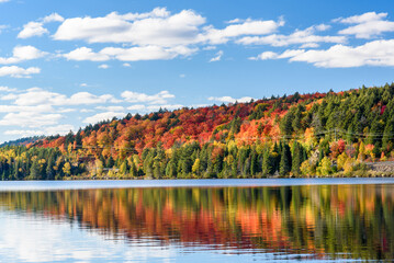 Autumn colours along the shore of lake reflecting in the calm waters in bright sunshine