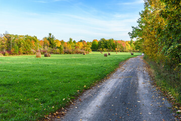 Gravel road along a meadow dotted with hay bales and bordered with woods at the peak of autumn...