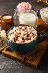 Cup of tasty cocoa drink and marshmallows in blue cup.Spices and marshmallows for winter drinks on black texture table.Winter hot drink.Hot chocolate with marshmallow and spices.Copy space.