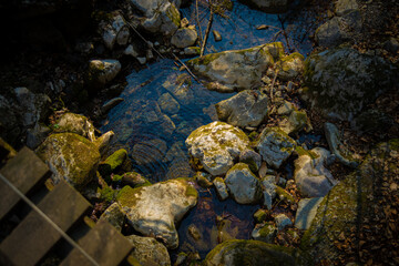 Mountain Spring River