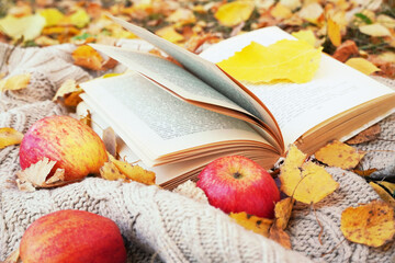 Moody autumn background with book,  yellow falling leaves, fruits and knitted plaid.