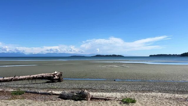 Rathtrevor Beach, Parksville calm Pacific Ocean in Vancouver Island the water went into the sea broken huge trees dried up lie on the beach as if after a storm silence calmness and no people.