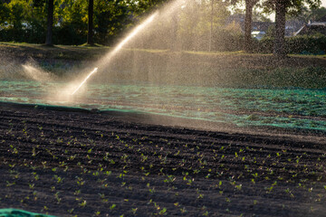 Agricultural irrigation system is needed due to hot summer and drought caused by climate change...