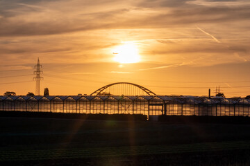 Golden sunset over greenhouse silhouettes with bridge and electricity tower for solar power in agricultural business on idyllic countryside and rural scenery shows glass greenhouses healthy vegetables