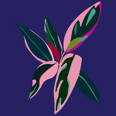 Decorative poster with a bright indoor plant, modern abstract interior art, vector illustration