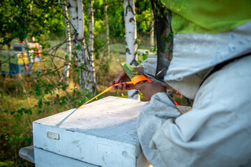 The beekeeper at the apiary checks the hives and takes care of the bees. Honey production in an apiary
