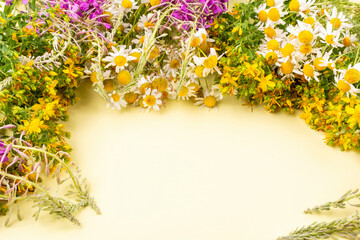 Frame of medicinal meadow and field herbs (ivan-tea, ivan-grass, kipreya, epilobium, chamomile, St. John's wort) on a yellow background. Space for text. Side view.