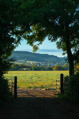 Farmland near town of Axminster in East Devon, UK.