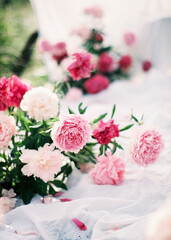 Summer wedding decor concept. Pink peonies flower bloom on white.