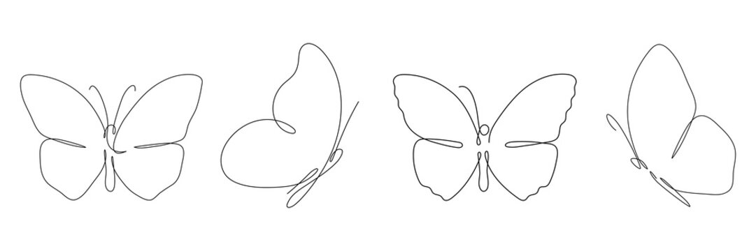 Butterfly continuous one line  drawing set. Linear art butterfly flying collection. Vector isolated on white.