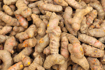 raw turmeric stock on shop