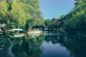 Tiny bridge over small park lake with many trees around 