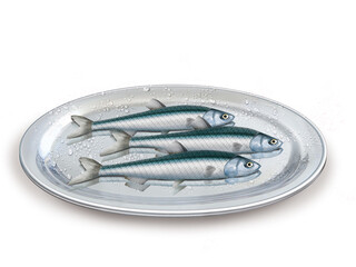 anchois, poisson, plateau, pêche, aliment, frais, fruits de mer, mer, animal, ailette, sain, queue, fond blanc, argent, attraper, repas, cuisiner, plat, viande, fraîcheur
