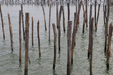 posts in the water