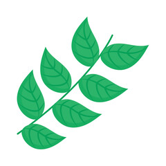 Fototapeta na wymiar branch with green leaves