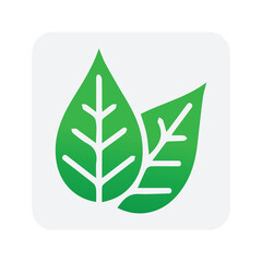 green leaf icon