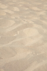 macro photo of sand on the beach on a sunny day